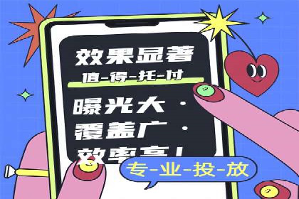 竞价广告投放技巧与案例分析